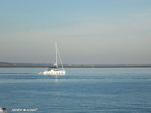 Aperçu des cabanes tchanquées de l'île aux Oiseaux