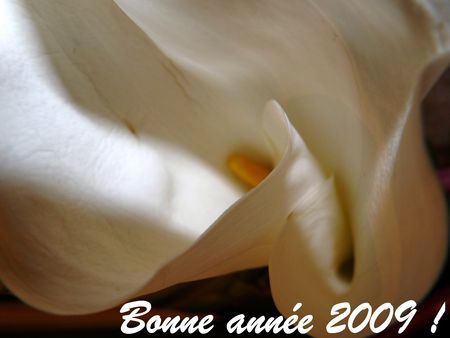bonane_2009