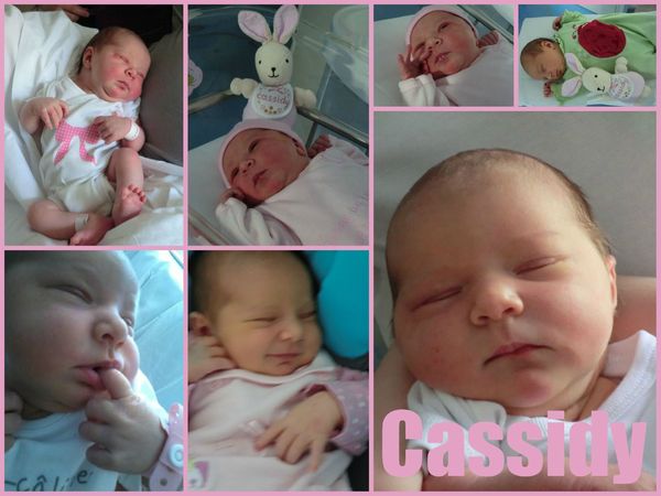 2012-08-05 - Cassidy (mosaïque)