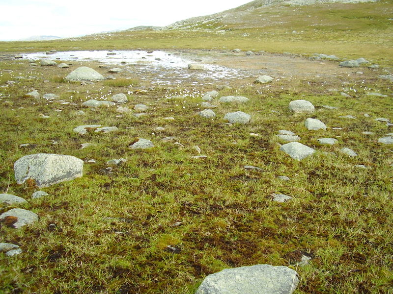 10-08-08 Grotfjord (18)