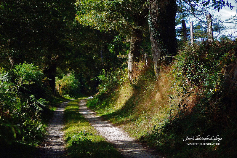 c Charente limousine chabanais 14 sept 2010 (21)