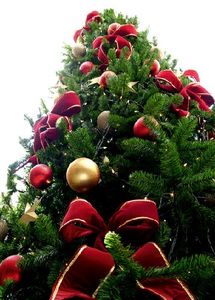 sapin_noel