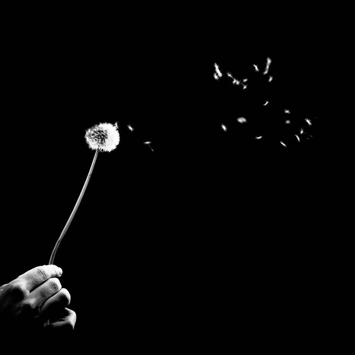 photographies-noir-blanc-de-Benoit-Courti-15
