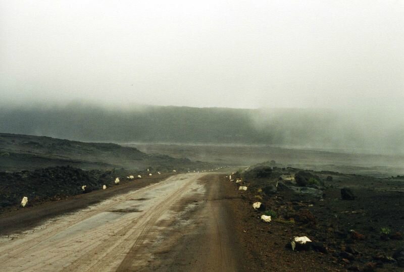 reu009