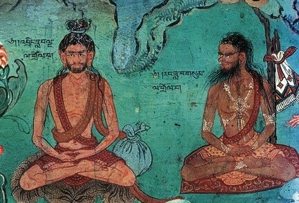yogi