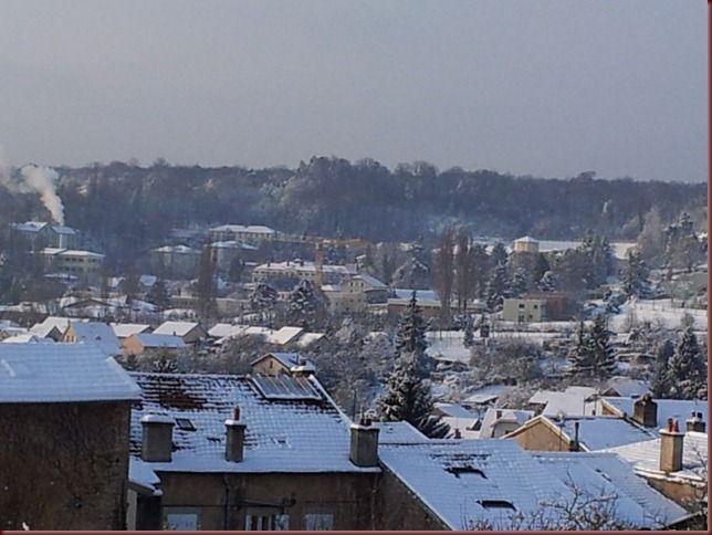 20130116_095436_Allée des Noyers