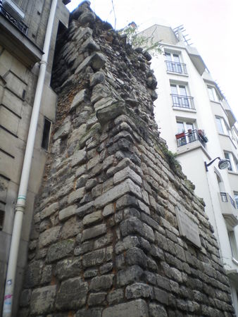 IMGP4388
