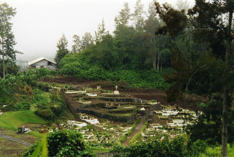 reu082