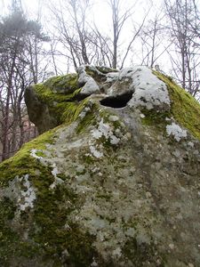 La_Tourette_Villeneuve_6