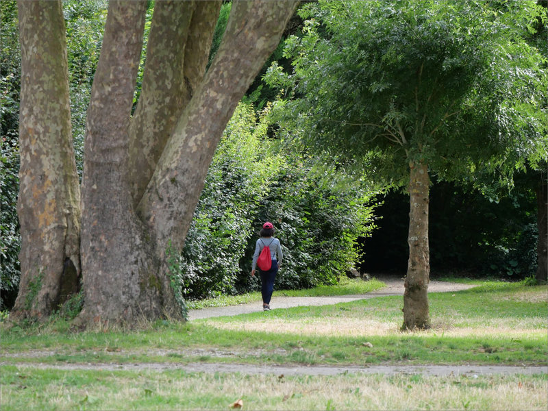 marcheuse arbres chaperon rouge 040723