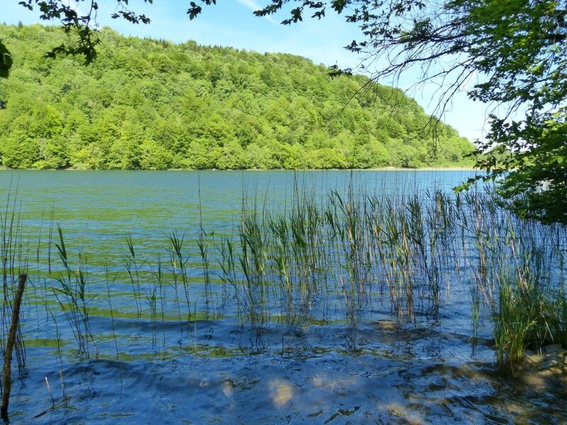 P1200646