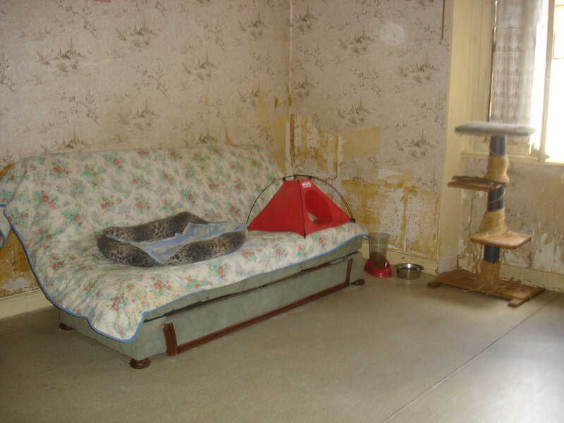 DSC06247