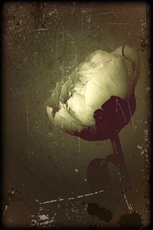 Masao Yamamoto,
