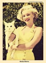 1951-08-MM_in_white_dress-studio_Fox-AYAYF-with_cat_Pinky-011-1c