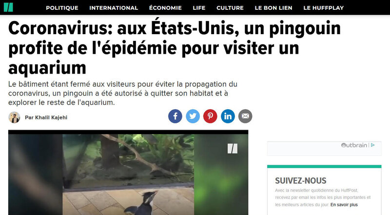 pinguoin visite musée