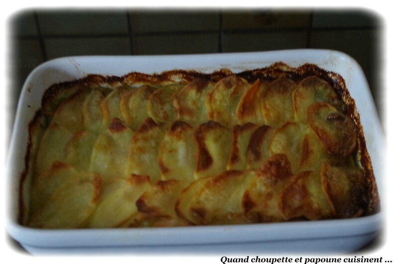 gratin épinard-saumon et pommes de terre-1867