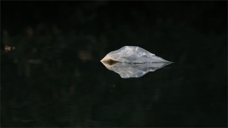 rivière plastique tortue 5 220119