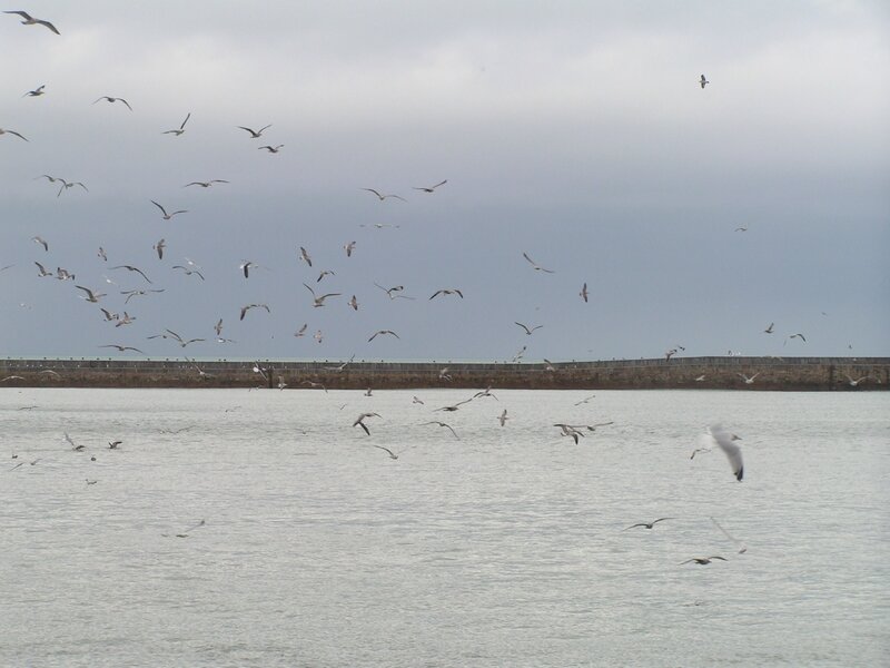 2015 12 11 - Port en Bessin (16)