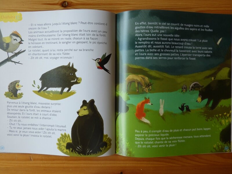 Petite Salamandre été 17 (4)