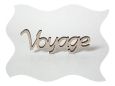 v_txt_voyage