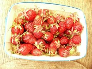 fraises-carpentras (1)