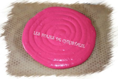 Gros macaron 13