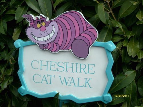 cheshire_cat_walk