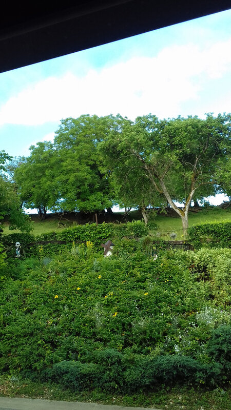 20200607_083354