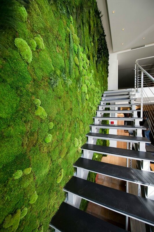 peaceful-indoor-living-wall-designs-for-any-home-7-554x833