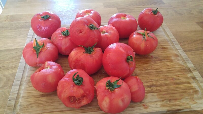 tomates épluchées