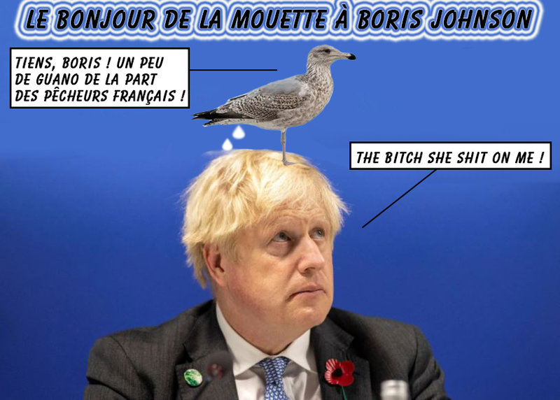 boris johnson-mouette