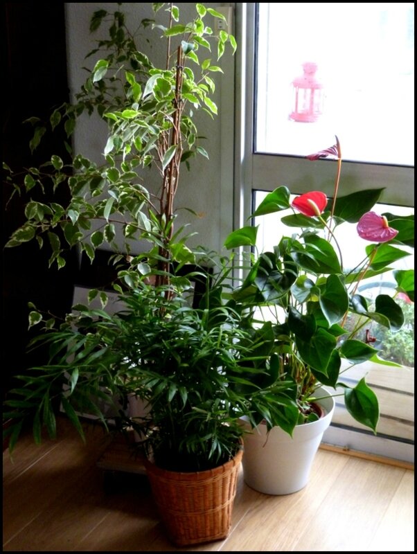 P1540234