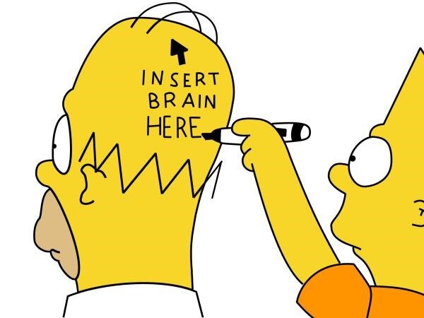 homer_brain
