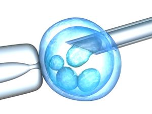 Recherche sur l'embryon