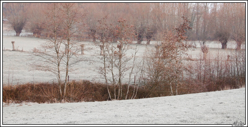 Brrr...il ne fait pas très chaud ce matin !