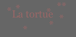 titre_tortue