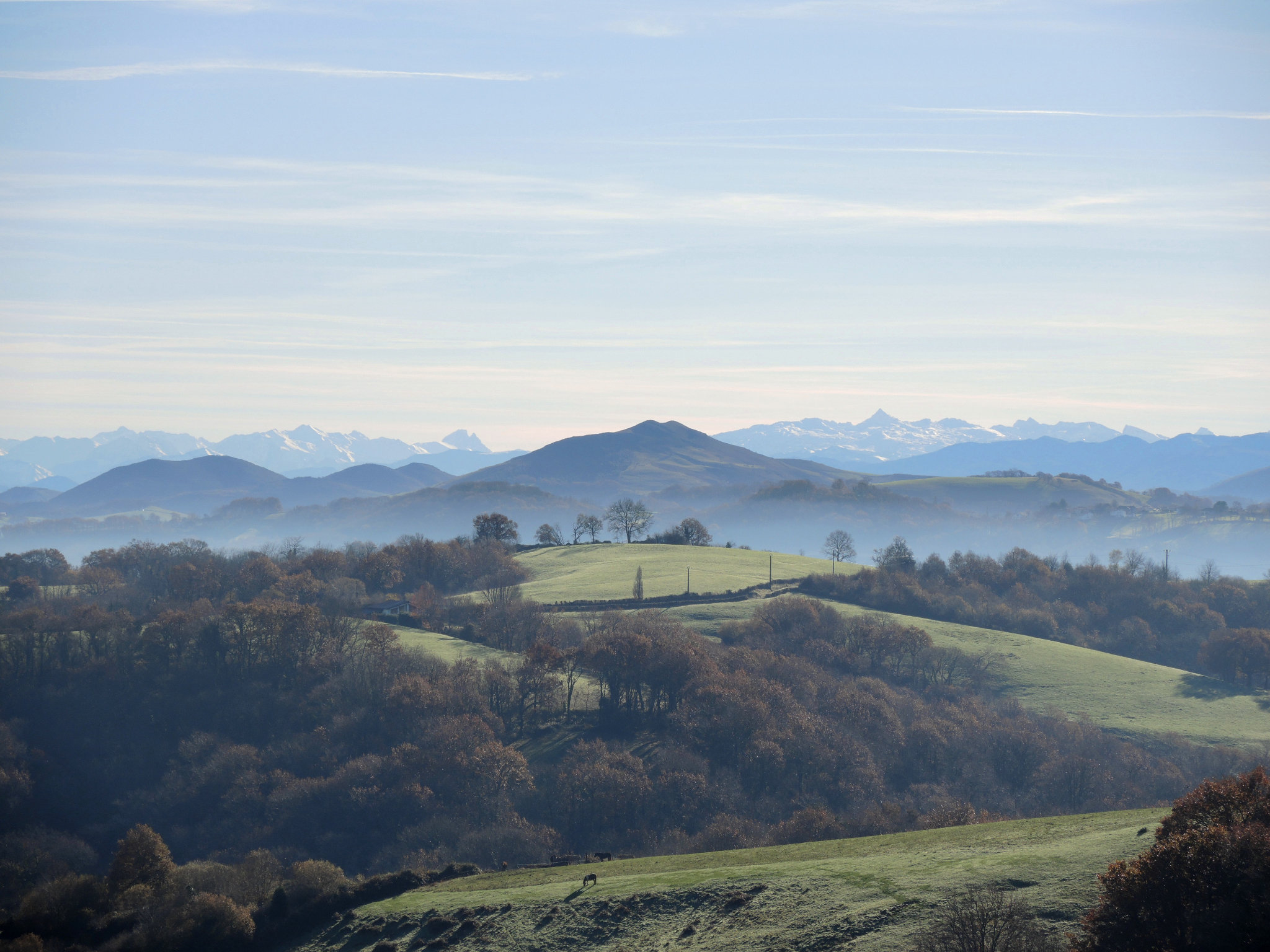 Hasparren, panorama, Pyrénées champs 2 (64)