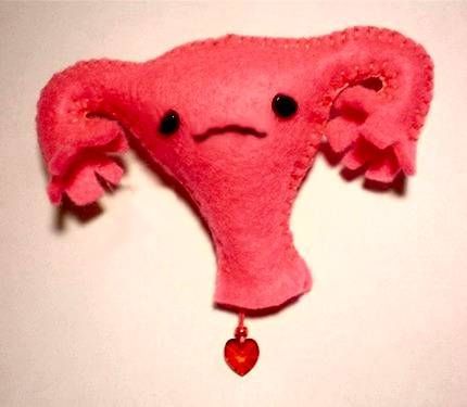 uterus