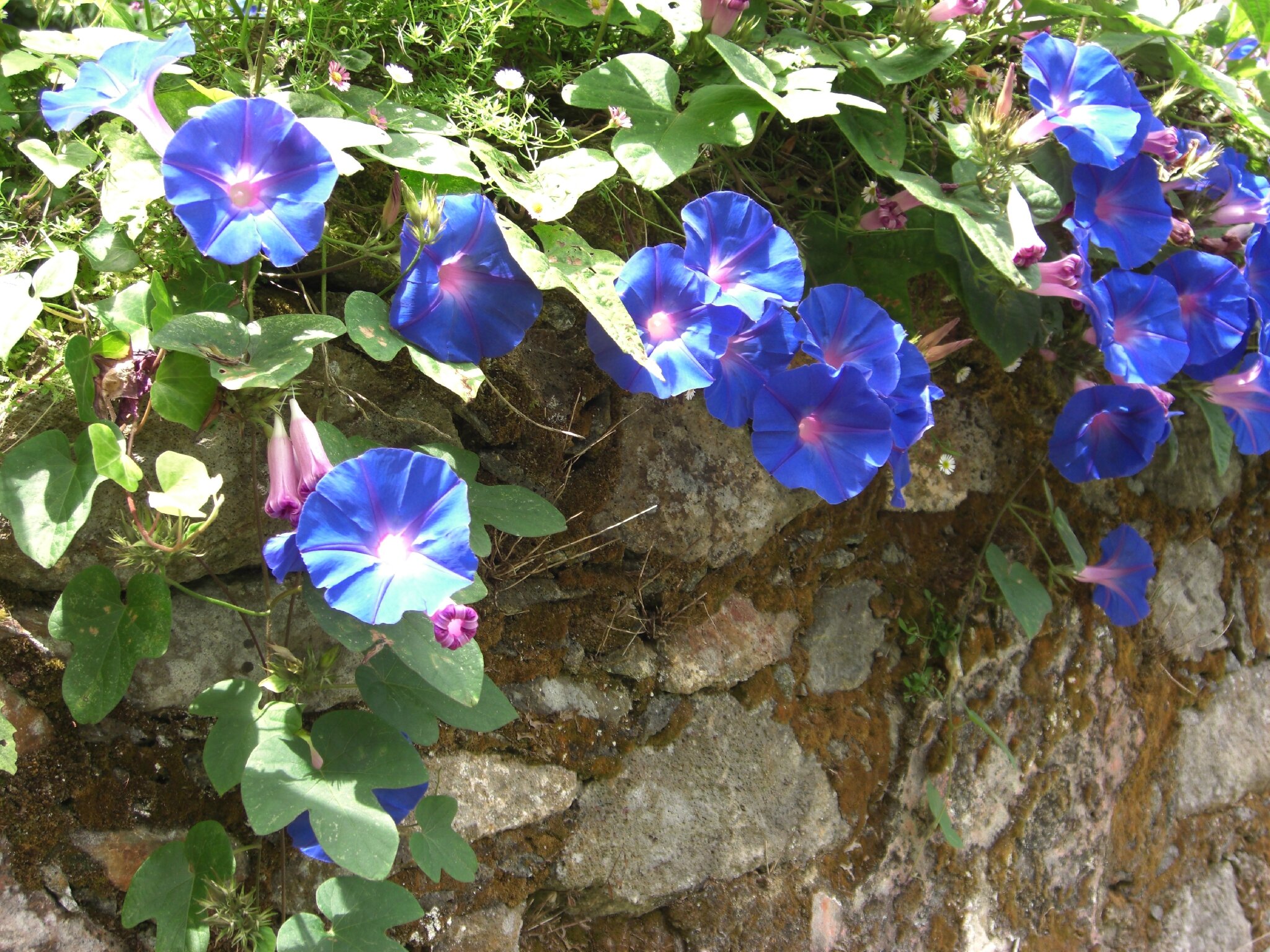 CIMG0439