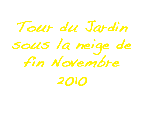 La métamorphose du jardin sous la neige... (28 et 29 nov 2010)