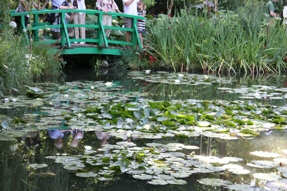 45-Jardin d'eau de Monet