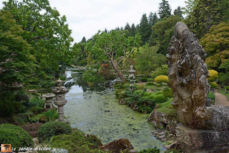 PAT_0923 Parc Oriental de Maulévrier