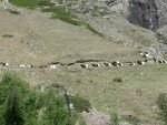 Zermatt06_045