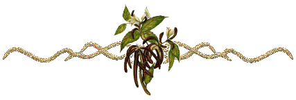 barre_dor_e_fleurs_1