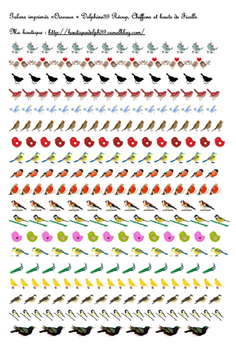 oiseaux