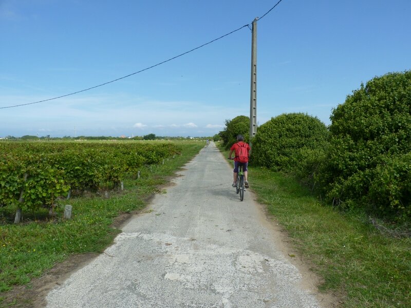 pistes cyclables