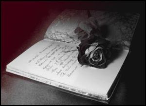 livre_et_rose_noire