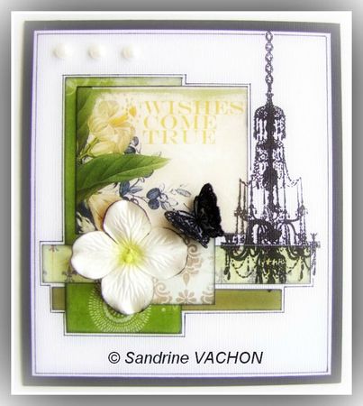 carte et chutes (10) WISHES COME TRUE (4)