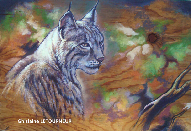 Lynx boréal portrait sur bois Ghislaine Letourneur