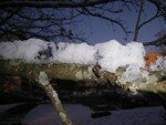 photo_blog_018